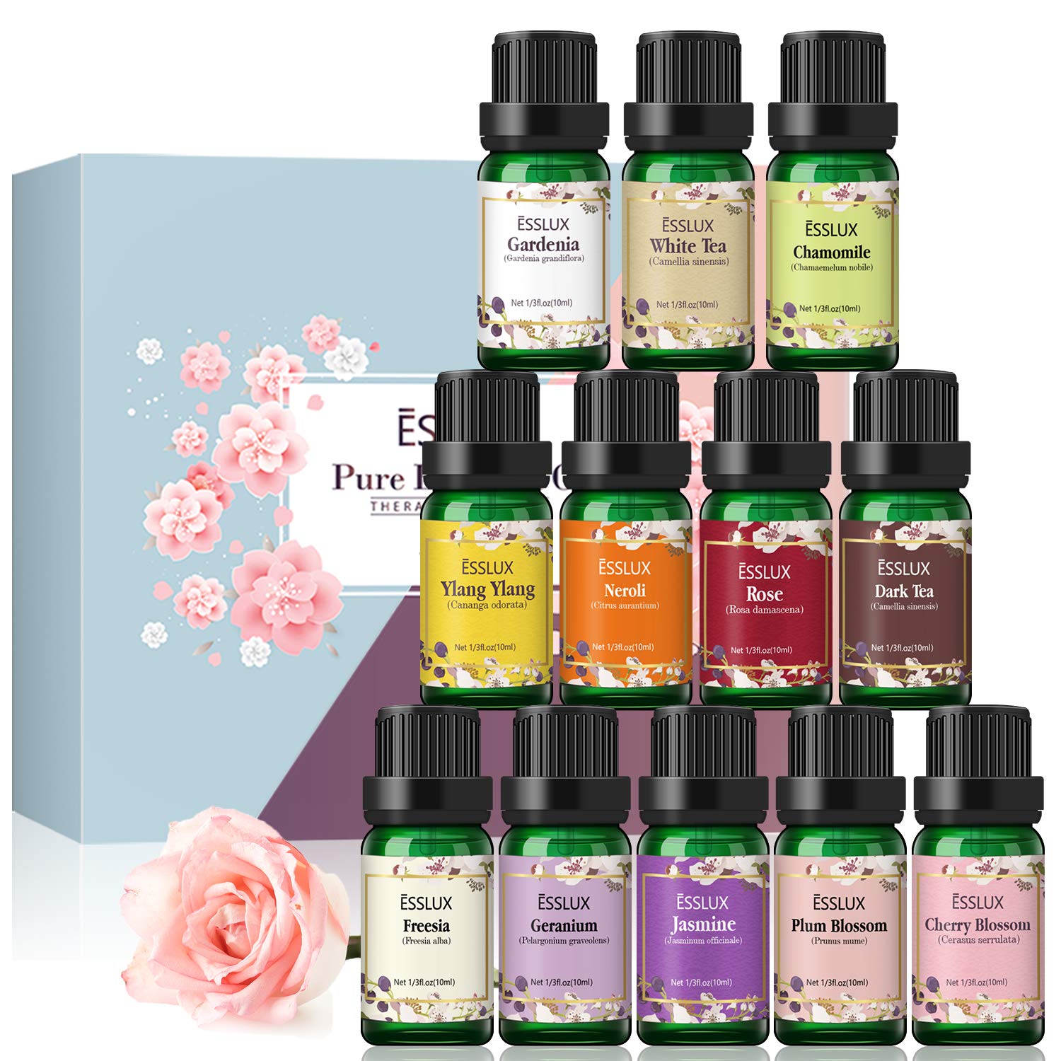 Essential Oils, Esslux Floral Essential Oils Gift Set with Gardenia, Cherry Blossom, Jasmine, White Tea, and More, Pure Aromatherapy Essential Oil for